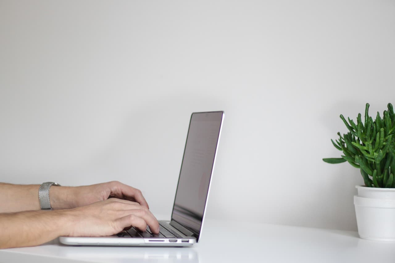 A person typing on a laptop at a clean white desk next to a small potted plant